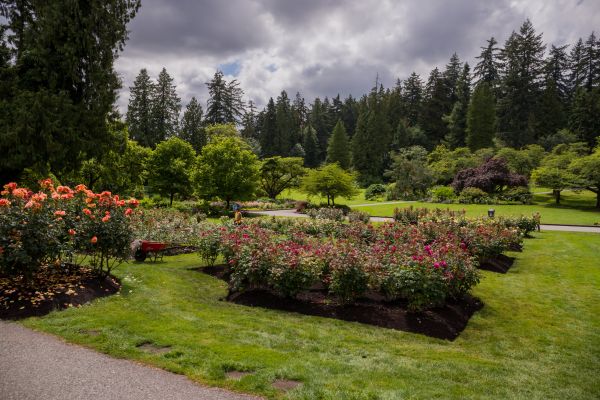 Flower Garden Landscaping in Spring
