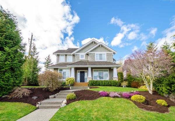 Landscaping Replacement in Spring