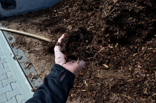 Condo Mulching in Spring