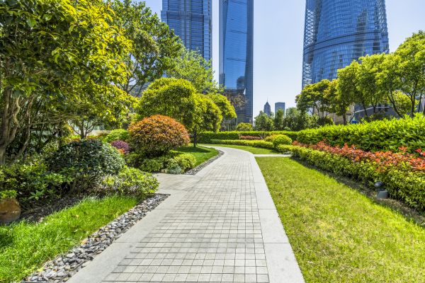Commercial Landscaping in Spring