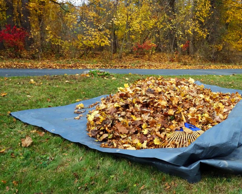 Fall Landscape Preparation