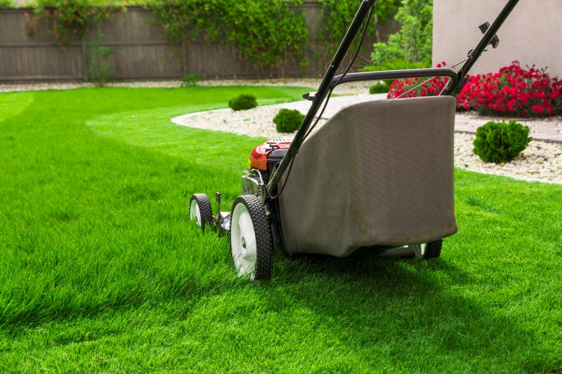 Lawn Repair Service